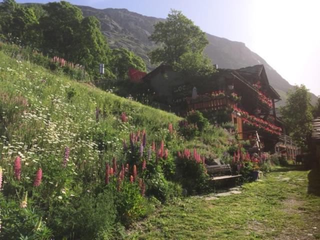 Le P'Tit Coin Montagne Leilighet Bonneval-sur-Arc Eksteriør bilde